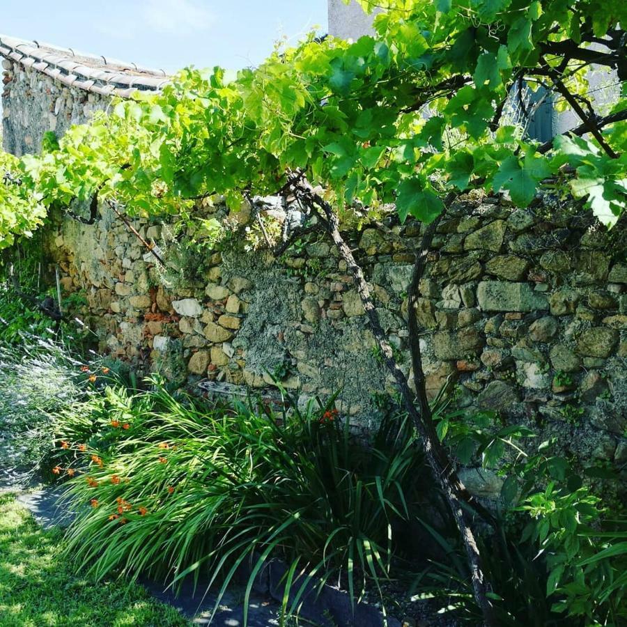 Gîte Maison de l'Abbé Sorèze Exterior foto